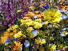 TN_04180228.JPG
