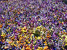 TN_04180230.JPG