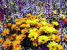 TN_04180231.JPG