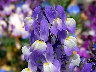 TN_04180234.JPG