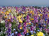 TN_04180237.JPG
