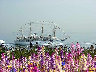 TN_04180238.JPG