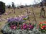 TN_04180239.JPG