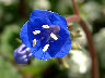 TN_04180194.JPG