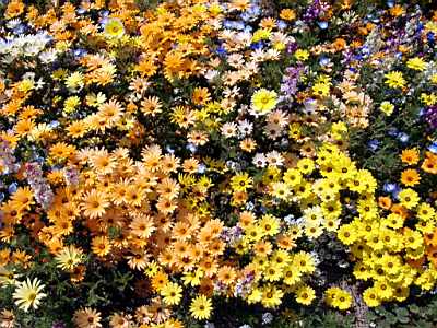 TN_04180213.JPG