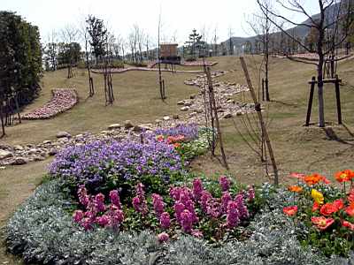 TN_04180239.JPG