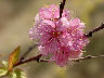 TN_04180249.JPG