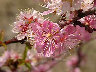 TN_04180250.JPG
