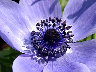 TN_04180252.JPG