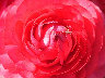 TN_04180258.JPG
