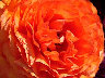 TN_04180262.JPG