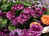 TN_04180264.JPG