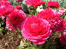 TN_04180265.JPG