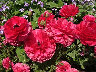 TN_04180266.JPG