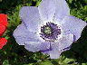 TN_04180242.JPG