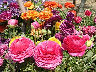TN_04180276.JPG