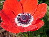 TN_04180243.JPG