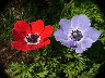 TN_04180244.JPG