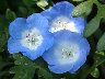 TN_04180246.JPG