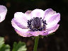 TN_04180247.JPG