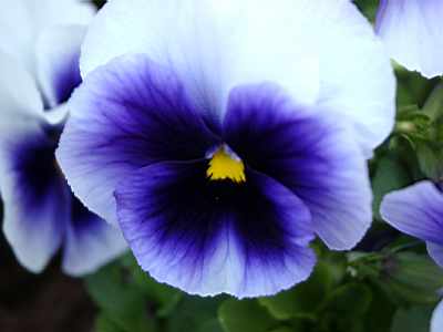 TN_04180142.JPG