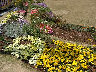 TN_04180151.JPG