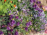 TN_04180158.JPG