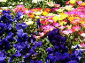TN_04180160.JPG