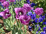 TN_04180161.JPG