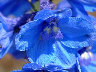 TN_04180162.JPG