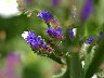 TN_04180134.JPG