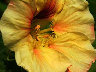 TN_04180137.JPG
