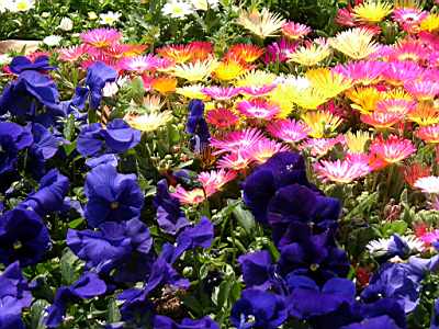 TN_04180160.JPG