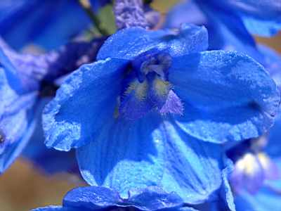 TN_04180162.JPG