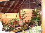 TN_01020016.JPG