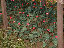 TN_01020027.JPG