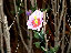 TN_01020033.JPG