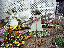 TN_01020035.JPG
