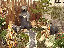 TN_01020037.JPG