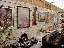 TN_01020050.JPG