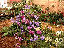 TN_01020018.JPG