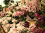 TN_01020051.JPG