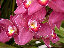 TN_01020052.JPG