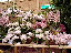 TN_01020053.JPG