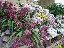 TN_01020054.JPG