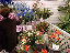 TN_01020055.JPG