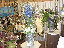 TN_01020063.JPG
