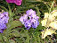 TN_01020019.JPG