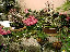TN_01020067.JPG
