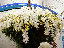 TN_01020068.JPG